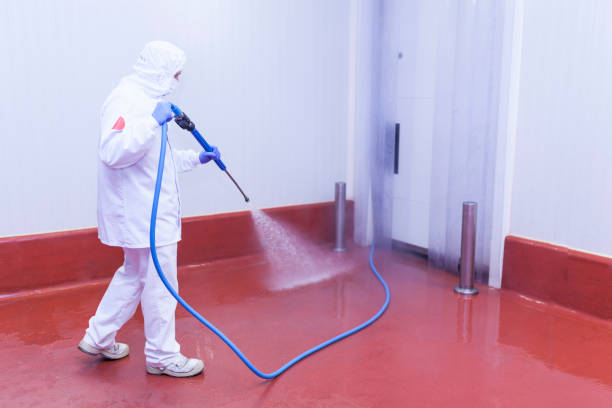 Best Restaurant Pressure Washing  in Flint Hill, MO